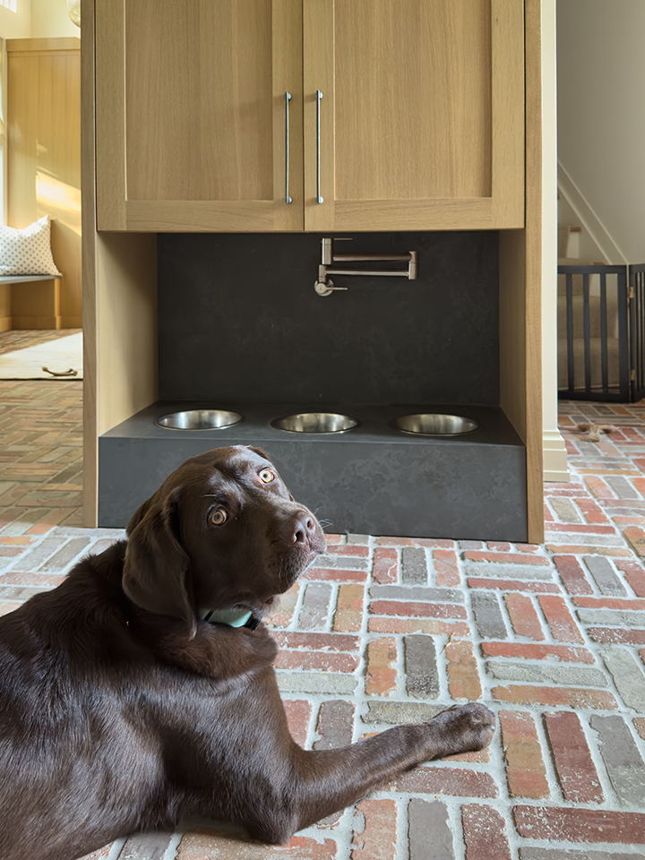 Chocolate Labrador on a brick floor in front of a built-in feeding station with three steel bowls recessed into dark stone under white oak cabinetry, in a Mendham, New Jersey renovation by Ellie Mroz Design.